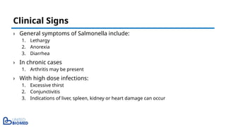 › General symptoms of Salmonella include:
1. Lethargy
2. Anorexia
3. Diarrhea
› In chronic cases
1. Arthritis may be present
› With high dose infections:
1. Excessive thirst
2. Conjunctivitis
3. Indications of liver, spleen, kidney or heart damage can occur
Clinical Signs
 
