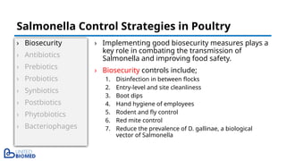 › Biosecurity
› Antibiotics
› Prebiotics
› Probiotics
› Synbiotics
› Postbiotics
› Phytobiotics
› Bacteriophages
› Implementing good biosecurity measures plays a
key role in combating the transmission of
Salmonella and improving food safety.
› Biosecurity controls include;
1. Disinfection in between flocks
2. Entry-level and site cleanliness
3. Boot dips
4. Hand hygiene of employees
5. Rodent and fly control
6. Red mite control
7. Reduce the prevalence of D. gallinae, a biological
vector of Salmonella
Salmonella Control Strategies in Poultry
 