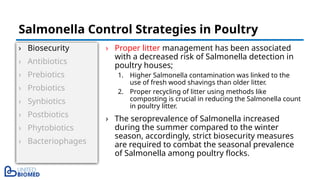 › Biosecurity
› Antibiotics
› Prebiotics
› Probiotics
› Synbiotics
› Postbiotics
› Phytobiotics
› Bacteriophages
› Proper litter management has been associated
with a decreased risk of Salmonella detection in
poultry houses;
1. Higher Salmonella contamination was linked to the
use of fresh wood shavings than older litter.
2. Proper recycling of litter using methods like
composting is crucial in reducing the Salmonella count
in poultry litter.
› The seroprevalence of Salmonella increased
during the summer compared to the winter
season, accordingly, strict biosecurity measures
are required to combat the seasonal prevalence
of Salmonella among poultry flocks.
Salmonella Control Strategies in Poultry
 