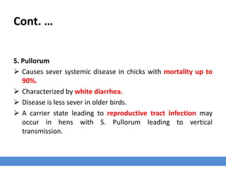 Salmonella in poultry_disease overview | PPTX