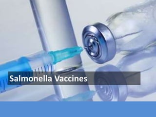 Salmonella Vaccines
 