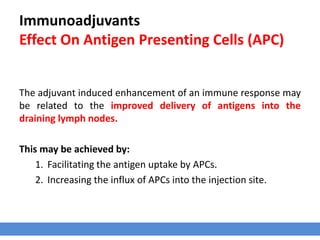 Immunoadjuvants
Effect On Antigen Presenting Cells (APC)
The adjuvant induced enhancement of an immune response may
be related to the improved delivery of antigens into the
draining lymph nodes.
This may be achieved by:
1. Facilitating the antigen uptake by APCs.
2. Increasing the influx of APCs into the injection site.
 
