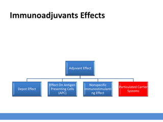 Immunoadjuvants Effects
Adjuvant Effect
Depot Effect
Effect On Antigen
Presenting Cells
(APC)
Nonspecific
Immunostimulanti
ng Effect
Particulated Carrier
Systems
 