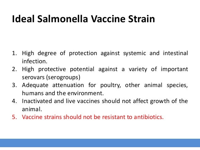 Salmonella In Poultry Vaccination