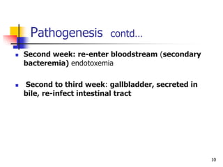 10
Pathogenesis contd…
 Second week: re-enter bloodstream (secondary
bacteremia) endotoxemia
 Second to third week: gallbladder, secreted in
bile, re-infect intestinal tract
 