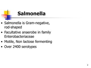 2
• Salmonella is Gram-negative,
rod-shaped
• Facultative anaerobe in family
Enterobacteriaceae
• Motile, Non lactose fermenting
• Over 2400 serotypes
Salmonella
 