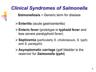 4
Clinical Syndromes of Salmonella
Salmonellosis = Generic term for disease
Enteritis (acute gastroenteritis)
Enteric fever (prototype is typhoid fever and
less severe paratyphoid fever)
Septicemia (particularly S. choleraesuis, S. typhi,
and S. paratyphi)
Asymptomatic carriage (gall bladder is the
reservoir for Salmonella typhi)
 