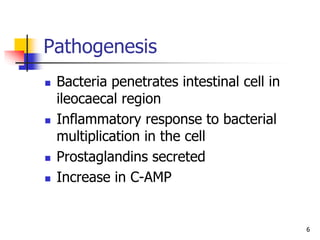 6
Pathogenesis
 Bacteria penetrates intestinal cell in
ileocaecal region
 Inflammatory response to bacterial
multiplication in the cell
 Prostaglandins secreted
 Increase in C-AMP
 