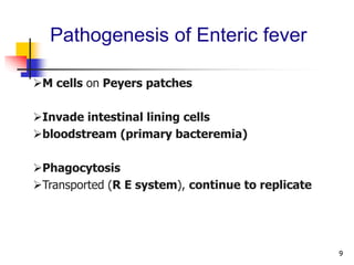 9
Pathogenesis of Enteric fever
M cells on Peyers patches
Invade intestinal lining cells
bloodstream (primary bacteremia)
Phagocytosis
Transported (R E system), continue to replicate
 