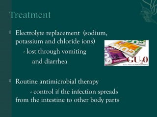  Electrolyte replacement (sodium, 
potassium and chloride ions) 
- lost through vomiting 
and diarrhea 
 Routine antimicrobial therapy 
- control if the infection spreads 
from the intestine to other body parts 
 