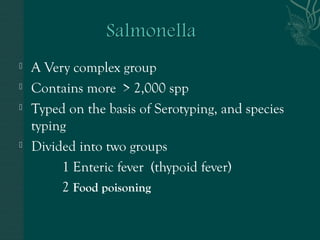  A Very complex group 
 Contains more > 2,000 spp 
 Typed on the basis of Serotyping, and species 
typing 
 Divided into two groups 
1 Enteric fever (thypoid fever) 
2 Food poisoning 
 
