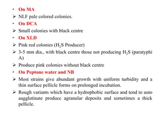 • On MA
 NLF pale colored colonies.
• On DCA
 Small colonies with black centre
• On XLD
 Pink red colonies (H2S Producer)
 3-5 mm dia., with black centre those not producing H2S (paratyphi
A)
 Produce pink colonies without black centre
• On Peptone water and NB
 Most strains give abundant growth with uniform turbidity and a
thin surface pellicle forms on prolonged incubation.
 Rough variants which have a hydrophobic surface and tend to auto
aagglutinate produce agranular deposits and sometimes a thick
pellicle.
 