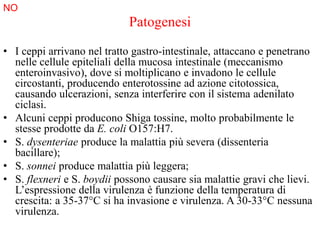 Patogenesi
• I ceppi arrivano nel tratto gastro-intestinale, attaccano e penetrano
nelle cellule epiteliali della mucosa intestinale (meccanismo
enteroinvasivo), dove si moltiplicano e invadono le cellule
circostanti, producendo enterotossine ad azione citotossica,
causando ulcerazioni, senza interferire con il sistema adenilato
ciclasi.
• Alcuni ceppi producono Shiga tossine, molto probabilmente le
stesse prodotte da E. coli O157:H7.
• S. dysenteriae produce la malattia più severa (dissenteria
bacillare);
• S. sonnei produce malattia più leggera;
• S. flexneri e S. boydii possono causare sia malattie gravi che lievi.
L’espressione della virulenza è funzione della temperatura di
crescita: a 35-37°C si ha invasione e virulenza. A 30-33°C nessuna
virulenza.
NO
 