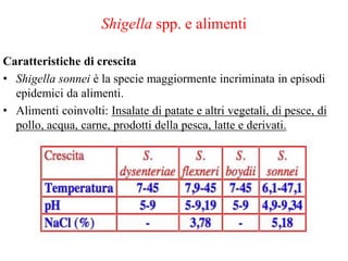 Shigella spp. e alimenti
Caratteristiche di crescita
• Shigella sonnei è la specie maggiormente incriminata in episodi
epidemici da alimenti.
• Alimenti coinvolti: Insalate di patate e altri vegetali, di pesce, di
pollo, acqua, carne, prodotti della pesca, latte e derivati.
 
