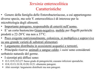 Yersinia enterocolitica
Caratteristiche
• Genere della famiglia delle Enterobacteriaceae, a cui appartengono
diverse specie, ma solo Y. enterocolitica è di interesse per la
microbiologia degli alimenti.
• Importante patogeno, responsabile di enteriti nell’uomo.
• E’ un corto bastoncino Gram-negativo, mobile per flagelli peritrichi
prodotti a 22-28°C ma non a 37°C.
• Poco esigente nutrizionalmente, colonizza, si moltiplica e sopravvive
su una grande varietà di substrati alimentari.
• Largamente distribuita in ecosistemi acquatici e terrestri.
• Principale riserva: animali a sangue caldo; i suini sono considerati
serbatoio naturale del germe.
• I sierotipi più diffusi sono:
 O:3; O:9; O:5,27: basso grado di patogenicità; causano infezioni sporadiche.
 O:8; O:13; O:18; O:20; O:21: altamente patogeni.
 Altri sierotipi: largamente distribuiti ma non patogeni.
 