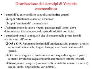 Distribuzione dei sierotipi di Yersinia
enterocolitica
• I ceppi di Y. enterocolitica sono distinti in due gruppi:
ceppi “strettamente adattati all’uomo”
ceppi “ambientali” o non adattati
• L’adattamento è dovuto a ripetuti passaggi nell’uomo, dove
determinano, inizialmente, solo episodi infettivi non tipici.
• I ceppi ambientali sono quelli che si trovano nella prima fase di
adattamento all’uomo.
O:3 e O:9. Raramente isolati dall’ambiente; suini portatori cronici
(contenuto intestinale, lingua, faringe) e serbatoio naturale del
germe.
O:8. varie sorgenti di contaminazione: acque di sorgenti e pozzo;
alimenti lavati con acqua contaminata; prodotti lattiero-caseari.
Sierotipi non patogeni (non coinvolti in malattie umane o animali):
acqua, suolo, vegetazione, vari animali.
 