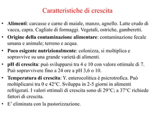 Caratteristiche di crescita
• Alimenti: carcasse e carne di maiale, manzo, agnello. Latte crudo di
vacca, capra. Cagliate di formaggi. Vegetali, ostriche, gamberetti.
• Origine della contaminazione alimentare: contaminazione fecale
umana e animale; terreno e acqua.
• Poco esigente nutrizionalmente: colonizza, si moltiplica e
sopravvive su una grande varietà di alimenti.
• pH di crescita: può svilupparsi tra 4 e 10 con valore ottimale di 7.
Può sopravvivere fino a 24 ore a pH 3,6 o 10.
• Temperatura di crescita: Y. enterocolitica è psicrotrofica. Può
moltiplicarsi tra 0 e 42°C. Sviluppa in 2-5 giorni in alimenti
refrigerati. I valori ottimali di crescita sono di 29°C; a 37°C richiede
fattori di crescita.
• E’ eliminata con la pastorizzazione.
 