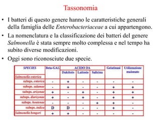 Tassonomia
• I batteri di questo genere hanno le caratteristiche generali
della famiglia delle Enterobacteriaceae a cui appartengono.
• La nomenclatura e la classificazione dei batteri del genere
Salmonella è stata sempre molto complessa e nel tempo ha
subito diverse modificazioni.
• Oggi sono riconosciute due specie.
 