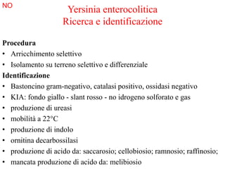 Yersinia enterocolitica
Ricerca e identificazione
Procedura
• Arricchimento selettivo
• Isolamento su terreno selettivo e differenziale
Identificazione
• Bastoncino gram-negativo, catalasi positivo, ossidasi negativo
• KIA: fondo giallo - slant rosso - no idrogeno solforato e gas
• produzione di ureasi
• mobilità a 22°C
• produzione di indolo
• ornitina decarbossilasi
• produzione di acido da: saccarosio; cellobiosio; ramnosio; raffinosio;
• mancata produzione di acido da: melibiosio
NO
 