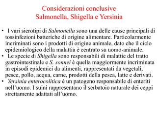Considerazioni conclusive
Salmonella, Shigella e Yersinia
• I vari sierotipi di Salmonella sono una delle cause principali di
tossinfezioni batteriche di origine alimentare. Particolarmente
incriminati sono i prodotti di origine animale, dato che il ciclo
epidemiologico della malattia è centrato su uomo-animale.
• Le specie di Shigella sono responsabili di malattie del tratto
gastrointestinale e S. sonnei è quella maggiormente incriminata
in episodi epidemici da alimenti, rappresentati da vegetali,
pesce, pollo, acqua, carne, prodotti della pesca, latte e derivati.
• Yersinia enterocolitica è un patogeno responsabile di enteriti
nell’uomo. I suini rappresentano il serbatoio naturale dei ceppi
strettamente adattati all’uomo.
 
