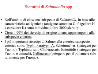 Sierotipi di Salmonella spp.
• Nell’ambito di ciascuna subspecie di Salmonella, in base alle
caratteristiche antigeniche (antigene somatico O, flagellare H
e capsulare K) sono individuati oltre 3000 sierotipi.
• Circa il 99% dei sierotipi di origine umana appartengono alla
subspecie enterica.
• I più importanti sierotipi di Salmonella enterica subspecie
enterica sono: Typhi, Paratyphi A, Schotmuelleri (patogeni per
l’uomo), Typhimurium, Choleraesuis, Enteritidis (patogeni per
l’uomo e animali), Gallinarum (patogeno per il pollame e solo
raramente per l’uomo).
 
