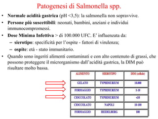 Patogenesi di Salmonella spp.
• Normale acidità gastrica (pH <3,5): la salmonella non sopravvive.
• Persone più suscettibili: neonati, bambini, anziani e individui
immunocompromessi.
• Dose Minima Infettiva > di 100.000 UFC. E’ influenzata da:
– sierotipo: specificità per l’ospite - fattori di virulenza;
– ospite: età - stato immunitario.
• Quando sono ingeriti alimenti contaminati e con alto contenuto di grassi, che
possono proteggere il microrganismo dall’acidità gastrica, la DIM può
risultare molto bassa.
 