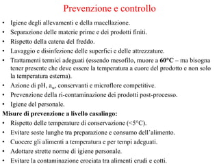 Prevenzione e controllo
• Igiene degli allevamenti e della macellazione.
• Separazione delle materie prime e dei prodotti finiti.
• Rispetto della catena del freddo.
• Lavaggio e disinfezione delle superfici e delle attrezzature.
• Trattamenti termici adeguati (essendo mesofilo, muore a 60°C – ma bisogna
tener presente che deve essere la temperatura a cuore del prodotto e non solo
la temperatura esterna).
• Azione di pH, aw, conservanti e microflore competitive.
• Prevenzione della ri-contaminazione dei prodotti post-processo.
• Igiene del personale.
Misure di prevenzione a livello casalingo:
• Rispetto delle temperature di conservazione (<5°C).
• Evitare soste lunghe tra preparazione e consumo dell’alimento.
• Cuocere gli alimenti a temperatura e per tempi adeguati.
• Adottare strette norme di igiene personale.
• Evitare la contaminazione crociata tra alimenti crudi e cotti.
 