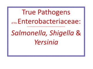 True Pathogens
of the Enterobacteriaceae:
~~~~~~~~~~~~~~~~~~~~~~~~~~~~~~~~~~~~~
Salmonella, Shigella &
Yersinia
 