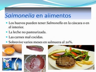  Los huevos pueden tener Salmonella en la cáscara o en

el interior.
 La leche no pasteurizada.
 Las carnes mal cocidas.
 Sobrevive varios meses en salmuera al 20%.

 