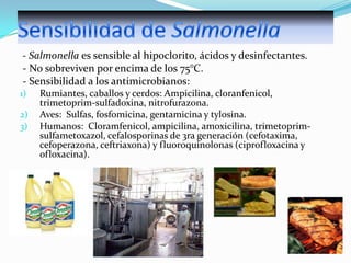 - Salmonella es sensible al hipoclorito, ácidos y desinfectantes.
- No sobreviven por encima de los 75°C.
- Sensibilidad a los antimicrobianos:
1)
2)
3)

Rumiantes, caballos y cerdos: Ampicilina, cloranfenicol,
trimetoprim-sulfadoxina, nitrofurazona.
Aves: Sulfas, fosfomicina, gentamicina y tylosina.
Humanos: Cloramfenicol, ampicilina, amoxicilina, trimetoprimsulfametoxazol, cefalosporinas de 3ra generación (cefotaxima,
cefoperazona, ceftriaxona) y fluoroquinolonas (ciprofloxacina y
ofloxacina).

 