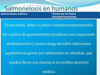 Salmonelosis en humanos
Salmonelosis entérica

Síndrome de Fiebre
tifoidea/Paratifoidea

• Cuadro de Gastroenteritis aguda.

• Cuadro febril prolongado con

En ancianos,
• Duración: 2 a 3 días.

niños ≤5 años e septicemia.
inmunocomprometidos

• Producido por salmonelas no tifoideas.

• Duración: 1 a 3 semanas.

los cuadros de gastroenteritis producen una importante
•(Ej.: S. Typhimurium, S. Enteritidis)
•Complicaciones: hemorragias,
•Síntomas: Dolor de cabeza, dolor

deshidratación
abdominal, diarrea, fiebre.

perforación intestinal, miocarditis y

y tienen riesgo de sufrir infecciones
meningitis.
•Producido por S. Typhi y S. Paratyphi.

septicémicas graves por salmonelas no tifoideas, que
pueden llevar a la muerte si no reciben atención
médica.

 