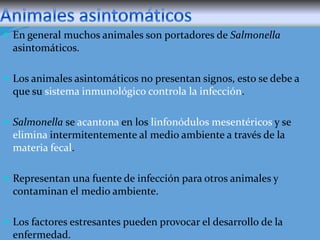  En general muchos animales son portadores de Salmonella

asintomáticos.
 Los animales asintomáticos no presentan signos, esto se debe a

que su sistema inmunológico controla la infección.
 Salmonella se acantona en los linfonódulos mesentéricos y se

elimina intermitentemente al medio ambiente a través de la
materia fecal.
 Representan una fuente de infección para otros animales y

contaminan el medio ambiente.
 Los factores estresantes pueden provocar el desarrollo de la

enfermedad.

 