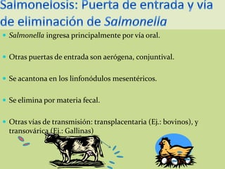  Salmonella ingresa principalmente por vía oral.
 Otras puertas de entrada son aerógena, conjuntival.
 Se acantona en los linfonódulos mesentéricos.
 Se elimina por materia fecal.

 Otras vías de transmisión: transplacentaria (Ej.: bovinos), y

transovárica (Ej.: Gallinas)

 