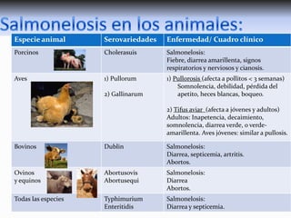 Especie animal
Serovariedades Enfermedad/ Cuadro clínico
 Los cuadros de salmonelosis varían según la especie animal, la serovariedad de
Porcinos
Cholerasuis
Salmonelosis:
Salmonella, el órgano afectado y la edad del animal. diarrea amarillenta, signos
Fiebre,
respiratorios y nerviosos y cianosis.
 En los animales Salmonella puede causar cuadros de enteritis, enfermedad
sistémica y /o abortos. 1) Pullorum
Aves
1) Pullorosis (afecta a pollitos < 3 semanas)
2) Gallinarum

Somnolencia, debilidad, pérdida del
apetito, heces blancas, boqueo.
2) Tifus aviar (afecta a jóvenes y adultos)
Adultos: Inapetencia, decaimiento,
somnolencia, diarrea verde, o verdeamarillenta. Aves jóvenes: similar a pullosis.

Bovinos

Dublin

Salmonelosis:
Diarrea, septicemia, artritis.
Abortos.

Ovinos
y equinos

Abortusovis
Abortusequi

Salmonelosis:
Diarrea
Abortos.

Todas las especies

Typhimurium
Enteritidis

Salmonelosis:
Diarrea y septicemia.

 