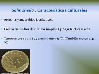  Aerobios y anaerobios facultativos.
 Crecen en medios de cultivos simples. Ej: Agar tripticasa soya.
 Temperatura óptima de crecimiento: 37°C. (También crecen a 42

°C).

 