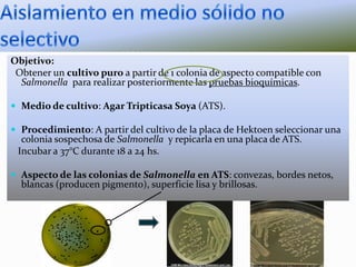 Objetivo:
Obtener un cultivo puro a partir de 1 colonia de aspecto compatible con
Salmonella para realizar posteriormente las pruebas bioquímicas.
 Medio de cultivo: Agar Tripticasa Soya (ATS).
 Procedimiento: A partir del cultivo de la placa de Hektoen seleccionar una

colonia sospechosa de Salmonella y repicarla en una placa de ATS.
Incubar a 37°C durante 18 a 24 hs.

 Aspecto de las colonias de Salmonella en ATS: convezas, bordes netos,

blancas (producen pigmento), superficie lisa y brillosas.

 