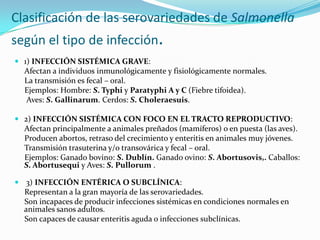 Clasificación de las serovariedades de Salmonella
según el tipo de infección.
 1) INFECCIÓN SISTÉMICA GRAVE:
Afectan a individuos inmunológicamente y fisiológicamente normales.
La transmisión es fecal – oral.

Ejemplos: Hombre: S. Typhi y Paratyphi A y C (Fiebre tifoidea).
Aves: S. Gallinarum. Cerdos: S. Choleraesuis.
 2) INFECCIÓN SISTÉMICA CON FOCO EN EL TRACTO REPRODUCTIVO:
Afectan principalmente a animales preñados (mamíferos) o en puesta (las aves).
Producen abortos, retraso del crecimiento y enteritis en animales muy jóvenes.

Transmisión trasuterina y/o transovárica y fecal – oral.
Ejemplos: Ganado bovino: S. Dublín. Ganado ovino: S. Abortusovis,. Caballos:
S. Abortusequi y Aves: S. Pullorum .
 3) INFECCIÓN ENTÉRICA O SUBCLÍNICA:
Representan a la gran mayoría de las serovariedades.

Son incapaces de producir infecciones sistémicas en condiciones normales en
animales sanos adultos.
Son capaces de causar enteritis aguda o infecciones subclínicas.

 