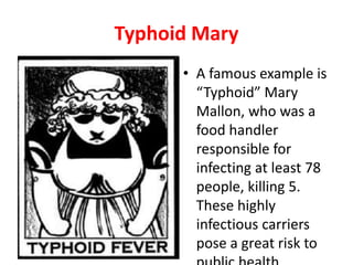 Typhoid Mary
• A famous example is
“Typhoid” Mary
Mallon, who was a
food handler
responsible for
infecting at least 78
people, killing 5.
These highly
infectious carriers
pose a great risk to
 