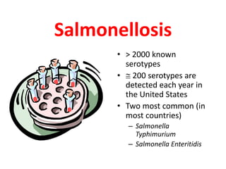 Salmonellosis
• > 2000 known
serotypes
•  200 serotypes are
detected each year in
the United States
• Two most common (in
most countries)
– Salmonella
Typhimurium
– Salmonella Enteritidis
 