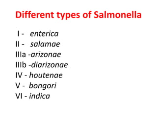 Different types of Salmonella
I - enterica
II - salamae
IIIa -arizonae
IIIb -diarizonae
IV - houtenae
V - bongori
VI - indica
 