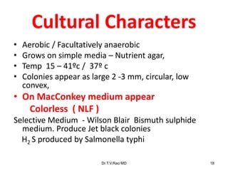 Cultural Characters
• Aerobic / Facultatively anaerobic
• Grows on simple media – Nutrient agar,
• Temp 15 – 41ºc / 37º c
• Colonies appear as large 2 -3 mm, circular, low
convex,
• On MacConkey medium appear
Colorless ( NLF )
Selective Medium - Wilson Blair Bismuth sulphide
medium. Produce Jet black colonies
H2 S produced by Salmonella typhi
Dr.T.V.Rao MD 18
 