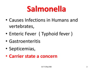 Salmonella
• Causes Infections in Humans and
vertebrates,
• Enteric Fever ( Typhoid fever )
• Gastroenteritis
• Septicemias,
• Carrier state a concern
Dr.T.V.Rao MD 2
 