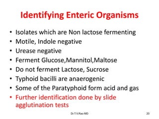 Identifying Enteric Organisms
• Isolates which are Non lactose fermenting
• Motile, Indole negative
• Urease negative
• Ferment Glucose,Mannitol,Maltose
• Do not ferment Lactose, Sucrose
• Typhoid bacilli are anaerogenic
• Some of the Paratyphoid form acid and gas
• Further identification done by slide
agglutination tests
Dr.T.V.Rao MD 20
 