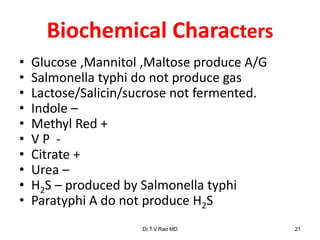 Biochemical Characters
• Glucose ,Mannitol ,Maltose produce A/G
• Salmonella typhi do not produce gas
• Lactose/Salicin/sucrose not fermented.
• Indole –
• Methyl Red +
• V P -
• Citrate +
• Urea –
• H2S – produced by Salmonella typhi
• Paratyphi A do not produce H2S
Dr.T.V.Rao MD 21
 