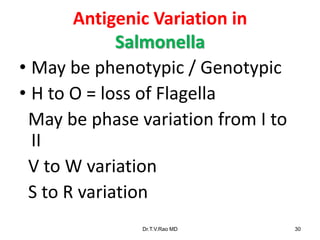 Antigenic Variation in
Salmonella
• May be phenotypic / Genotypic
• H to O = loss of Flagella
May be phase variation from I to
II
V to W variation
S to R variation
Dr.T.V.Rao MD 30
 