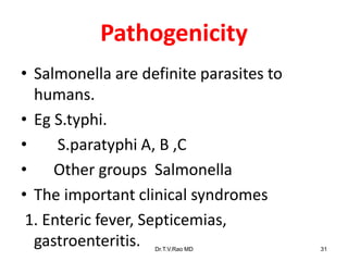 Pathogenicity
• Salmonella are definite parasites to
humans.
• Eg S.typhi.
• S.paratyphi A, B ,C
• Other groups Salmonella
• The important clinical syndromes
1. Enteric fever, Septicemias,
gastroenteritis. Dr.T.V.Rao MD 31
 