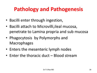 Pathology and Pathogenesis
• Bacilli enter through ingestion,
• Bacilli attach to Microvilli,ileal mucosa,
penetrate to Lamina propria and sub mucosa
• Phagocytosis by Polymorphs and
Macrophages
• Enters the mesenteric lymph nodes
• Enter the thoracic duct – Blood stream
Dr.T.V.Rao MD 39
 