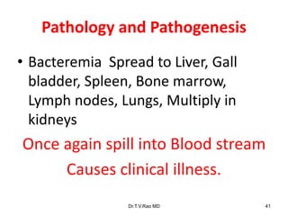 Pathology and Pathogenesis
• Bacteremia Spread to Liver, Gall
bladder, Spleen, Bone marrow,
Lymph nodes, Lungs, Multiply in
kidneys
Once again spill into Blood stream
Causes clinical illness.
Dr.T.V.Rao MD 41
 