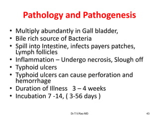 Pathology and Pathogenesis
• Multiply abundantly in Gall bladder,
• Bile rich source of Bacteria
• Spill into Intestine, infects payers patches,
Lymph follicles
• Inflammation – Undergo necrosis, Slough off
• Typhoid ulcers
• Typhoid ulcers can cause perforation and
hemorrhage
• Duration of Illness 3 – 4 weeks
• Incubation 7 -14, ( 3-56 days )
Dr.T.V.Rao MD 43
 