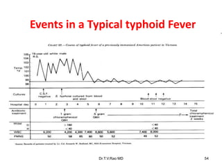 Events in a Typical typhoid Fever
Dr.T.V.Rao MD 54
 